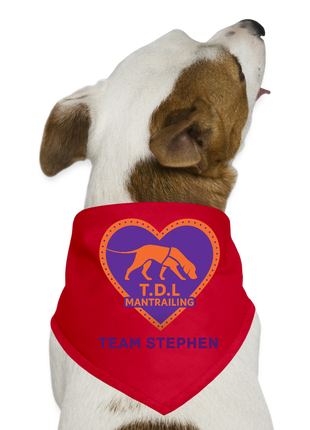 TDL Official Dog Bandana - red